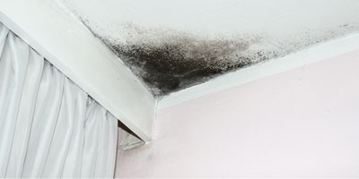 Smoke, Soot, and Mold: Fire Damage’s Toxic Trio